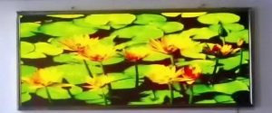 P8 SMD Indoor Full Color LED Screen Malaysia | LED Displays Malaysia | Max LED Display Technologies (M) Sdn Bhd